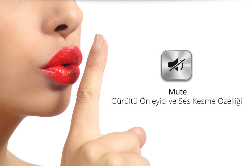 Charger-A-Type-Mute